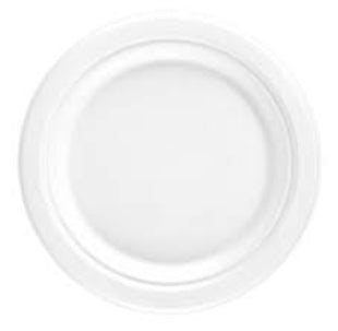 9” Bagasse Plates