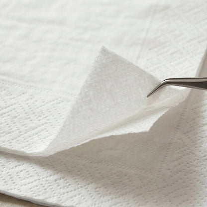 33x33cm White 2‑Ply Napkins | Premium Disposable Lunch Serviettes | Pack of 100 or Case of 2000 | Wholesale Catering & Restaurant Supply by GSL Wholesaler