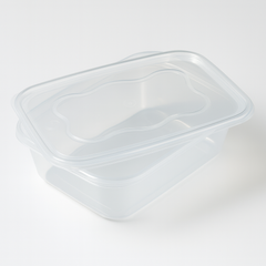 C650 PLASTIC CONTAINER WITH LIDS